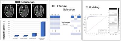 Multi-task learning-based feature selection and classification models for glioblastoma and solitary brain metastases